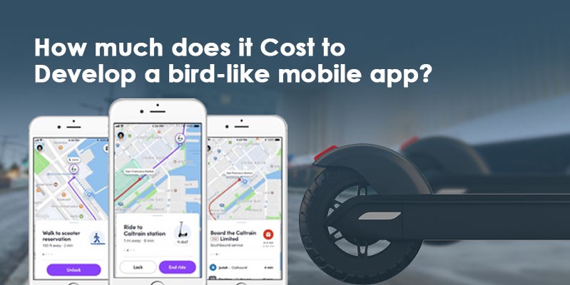 How much does it cost to develop a bird-like mobile app?
